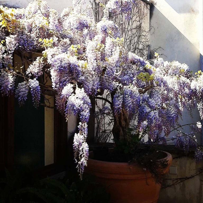 B&B Le Terrazze Bisceglie Exterior photo