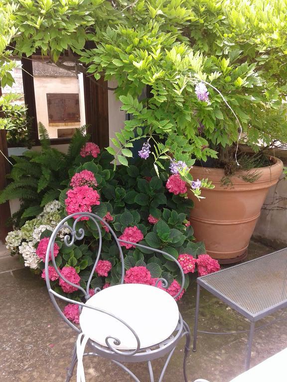 B&B Le Terrazze Bisceglie Exterior photo
